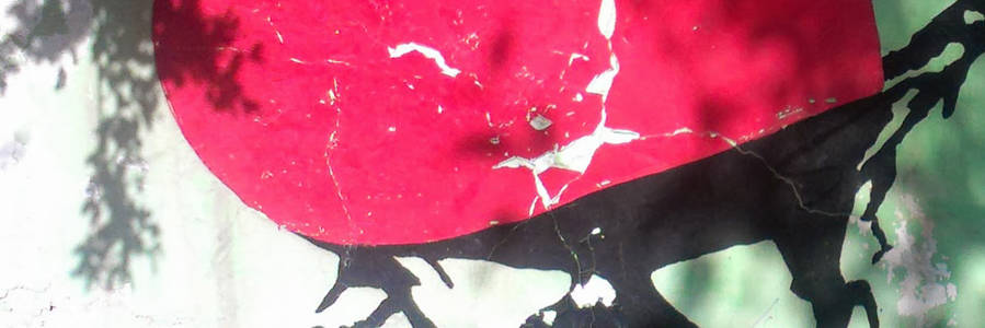 Afghanistan week . Illustration: NACAF