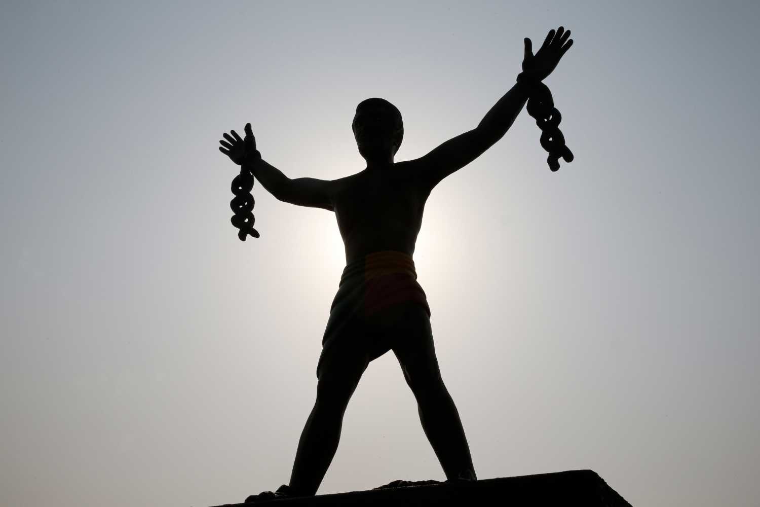 Liberation. Photo: Phillippe Lissac / Getty Images
