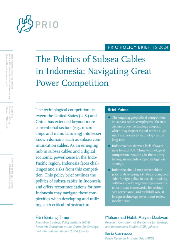 PRIO Policy Brief 15-2024