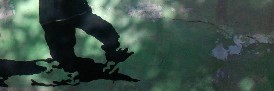 Afghanistan week. Illustration: NACAF