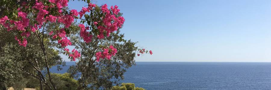 Writing retreat in Aegina, Greece. Photo: Georgina Berry / PRIO