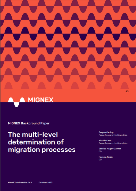 Mignex-the-multilevel-determination-of-migration-processes