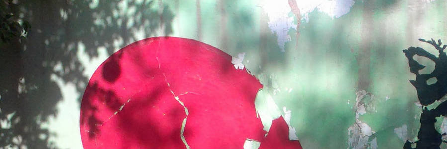 Afghanistan week crop 2. Illustration: NACAF