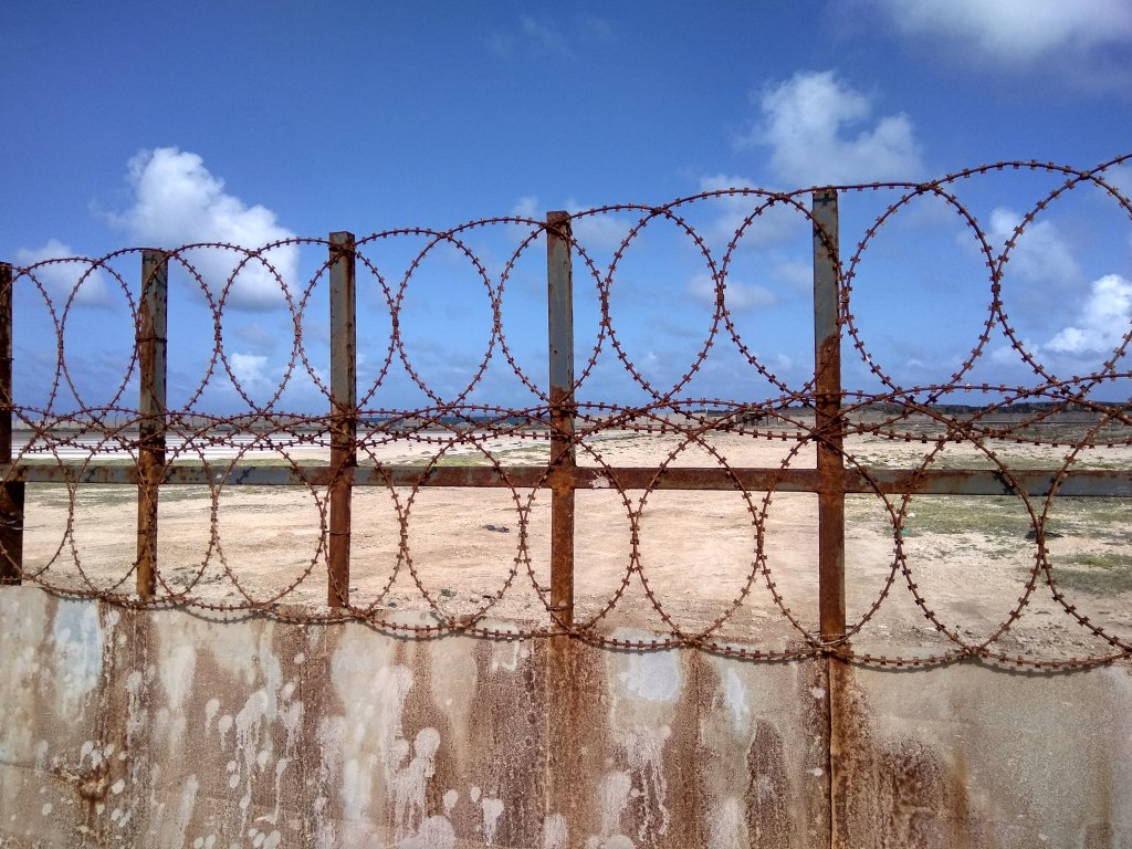 Photo: Jethro Norman.