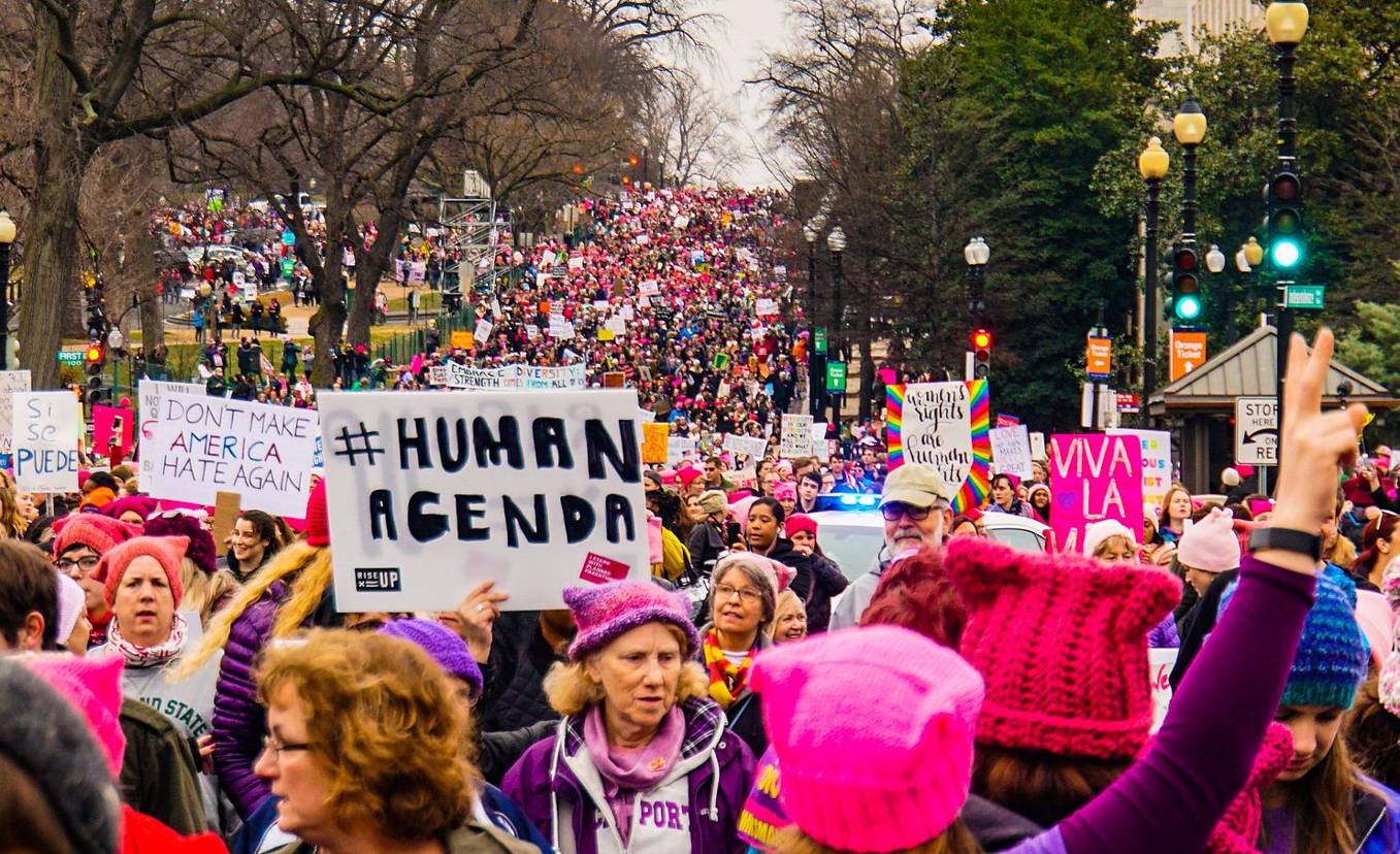 Women's March Washington, January 2017. Ted Eytan, Wikimedia Commons