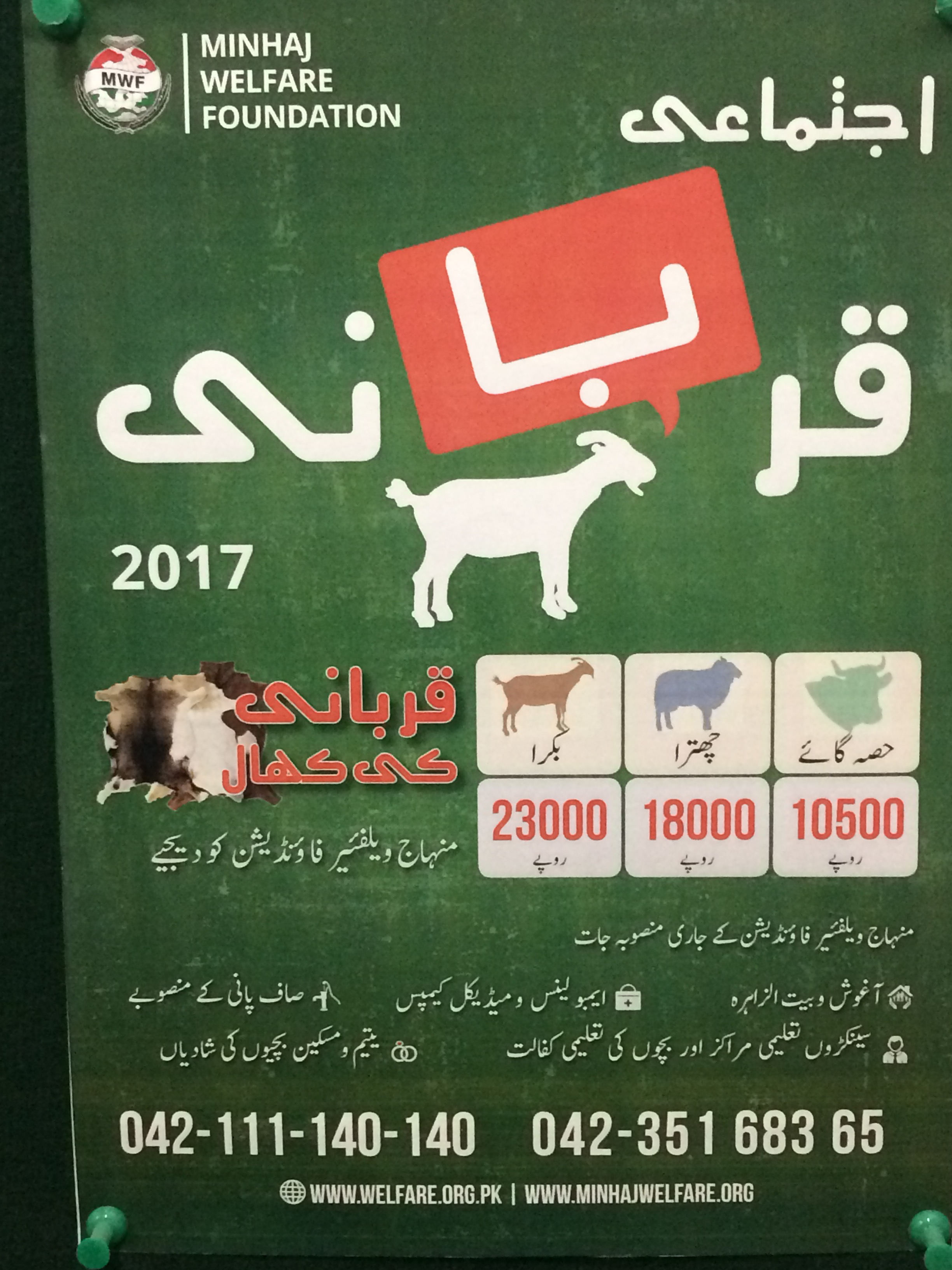 Islamic aid organizations offer qurbani (animal sacrifice) services for Eid-ul-Adha (as shown in an advertisement above), and use the profits from sales of the animal skins to fund their welfare programmes. Marta Bivand Erdal / PRIO