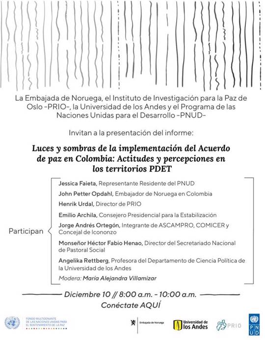 prio undp report