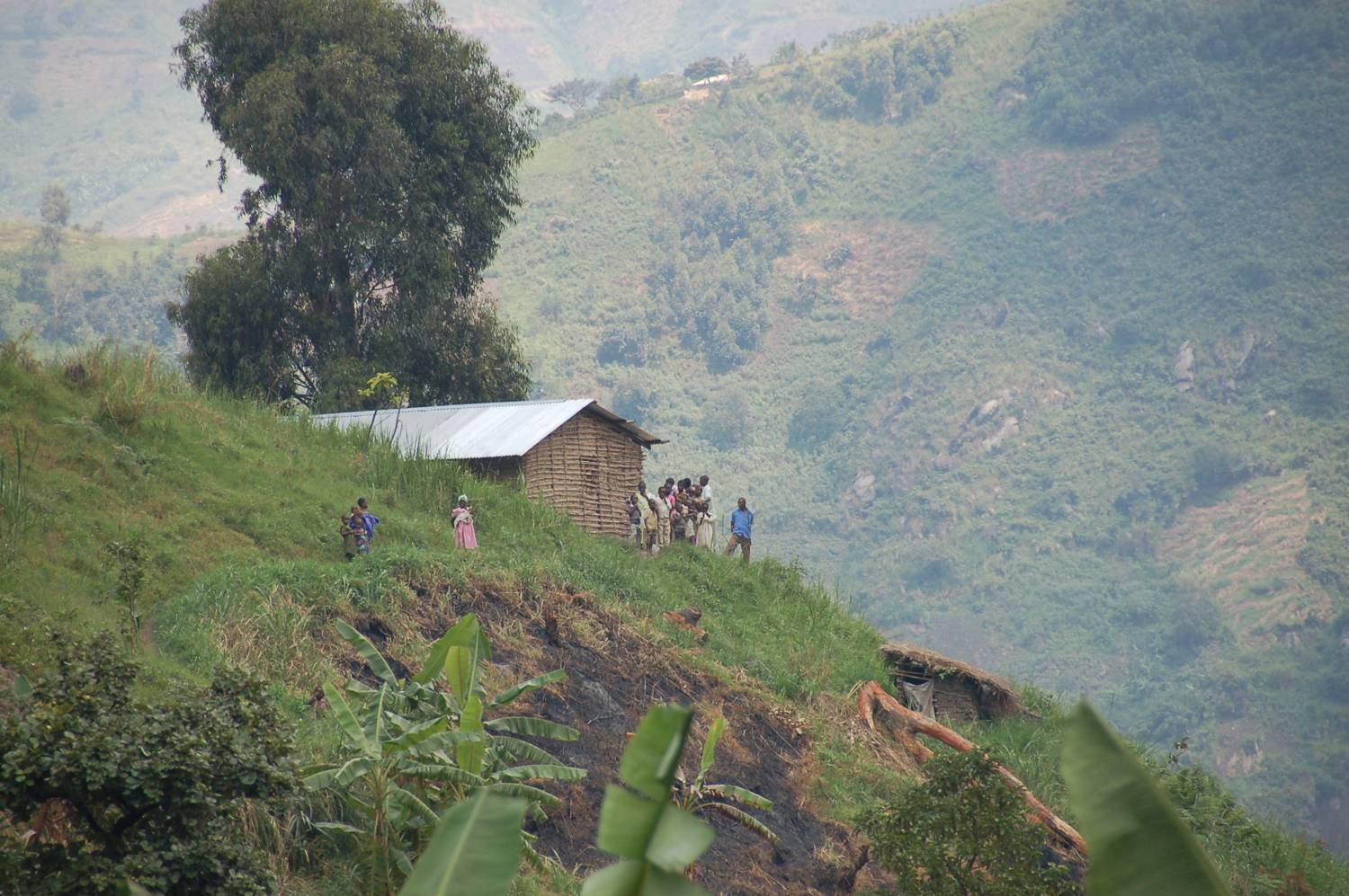 Dwelling in the mountains of the Ruwenzori Range, western Uganda. Photo: Dylan Walters / Encyclopædia Britannica / CC BY-SA 2.0