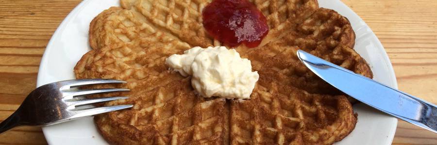 A typical example of what some think of as 'active citizenship': making waffles for school fundraisers. Tresting via Flickr CC BY-SA 2.0
