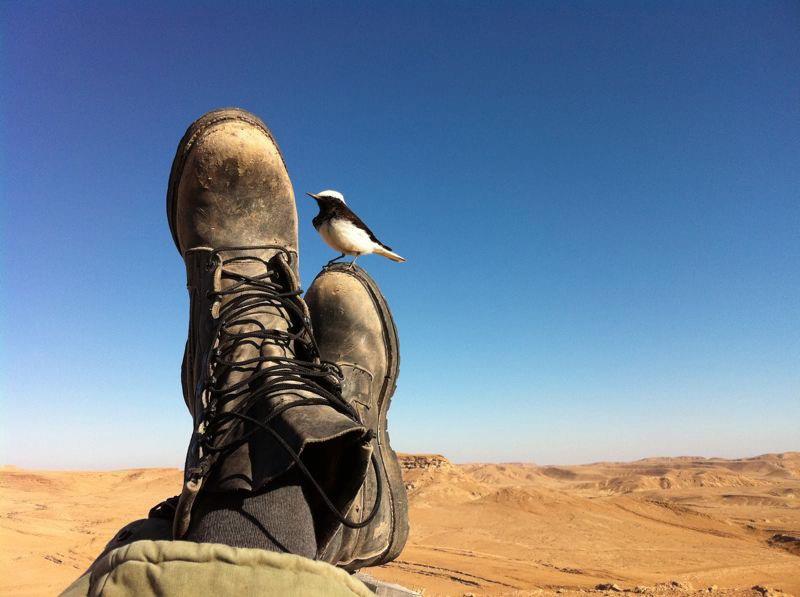 A soldier from the Golani Brigade relaxes in the desert. PHOTO: Creative Commons/IDF.