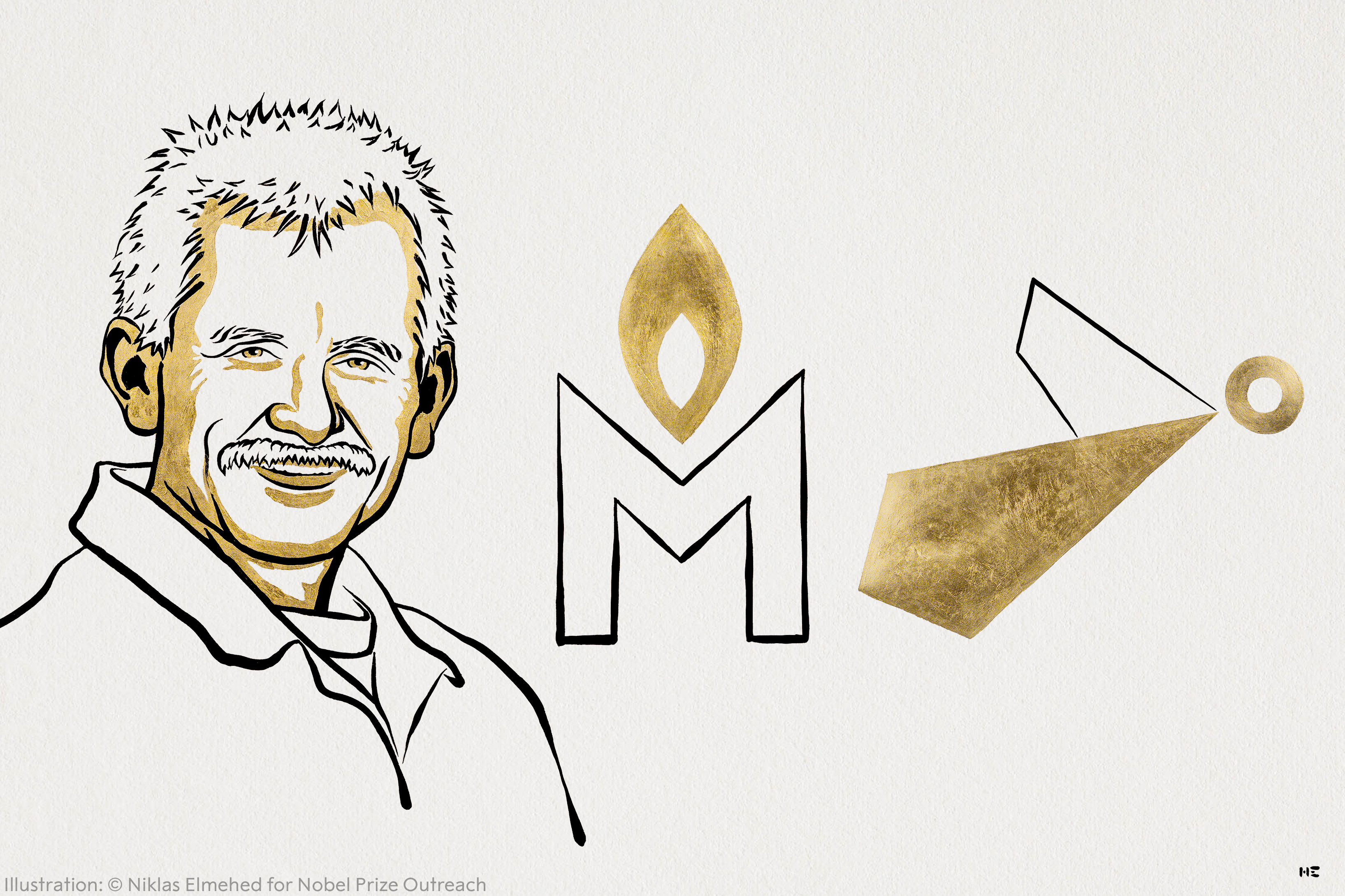 Ill. Niklas Elmehed © Nobel Prize Outreach .