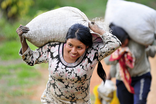 Photo: [Neil Palmer (CIAT)](https://www.flickr.com/photos/ciat/5867722798). Photo: Neil Palmer (CIAT)