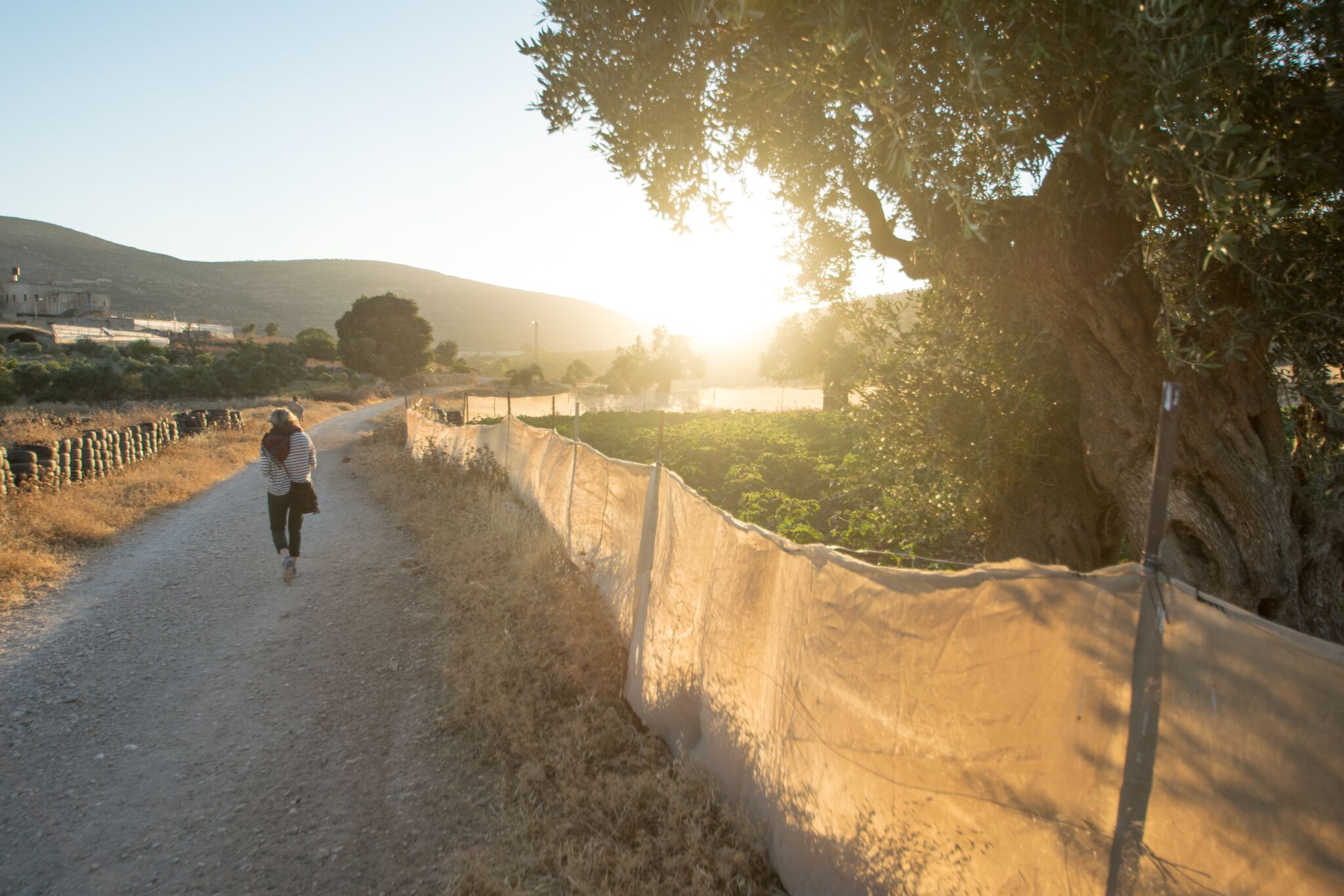 Fieldwork. Photo: Ebba Tellander / PRIO